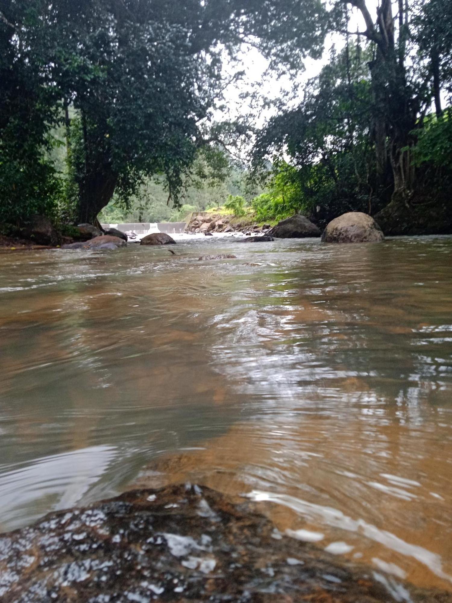 Moriah Berg Tourist Villa Vagamon Vandiperiyār Dış mekan fotoğraf